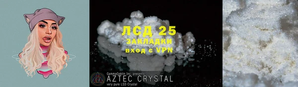 стафф Бородино