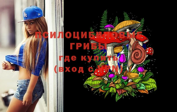 ПСИЛОЦИБИНОВЫЕ ГРИБЫ Балахна
