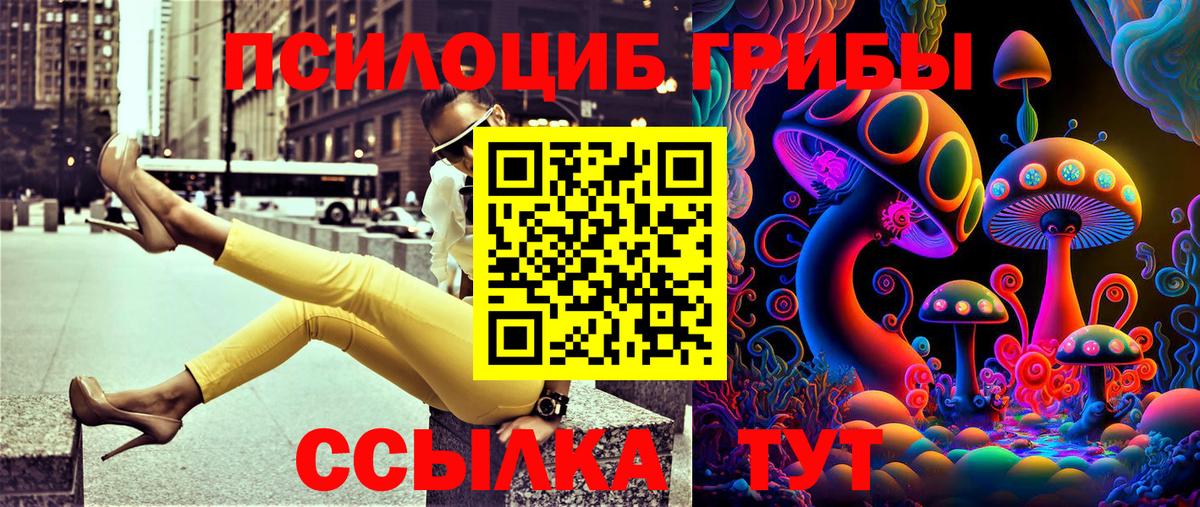 Псилоцибиновые грибы GOLDEN TEACHER Можга