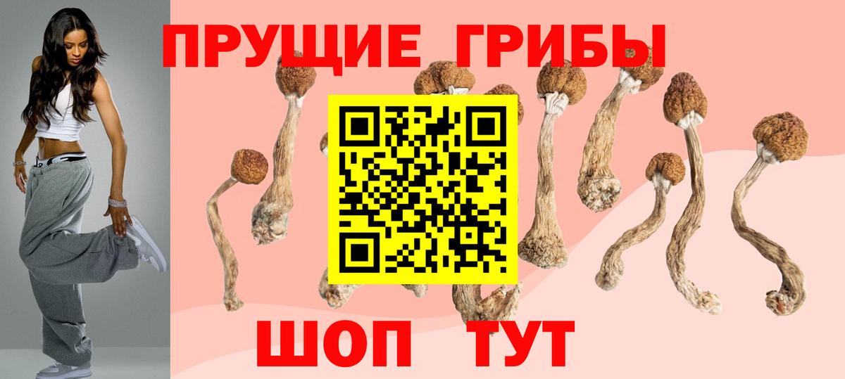 Можга  Псилоцибиновые грибы MAGIC MUSHROOMS  где купить наркоту  Вход с VPN 