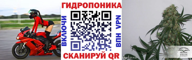 Шишки марихуана Bruce Banner Можга